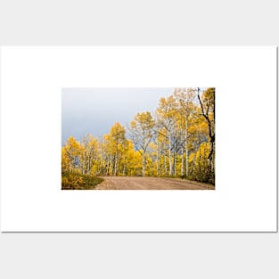 Aspens Posters and Art